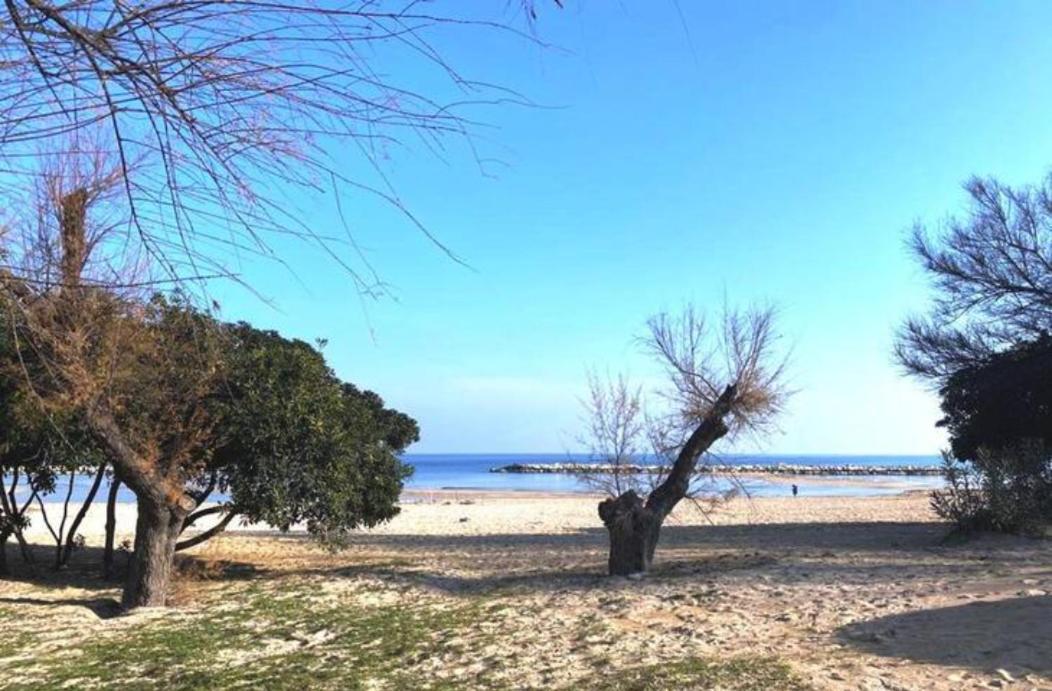 Dimora Mare Apartman Bari Kültér fotó